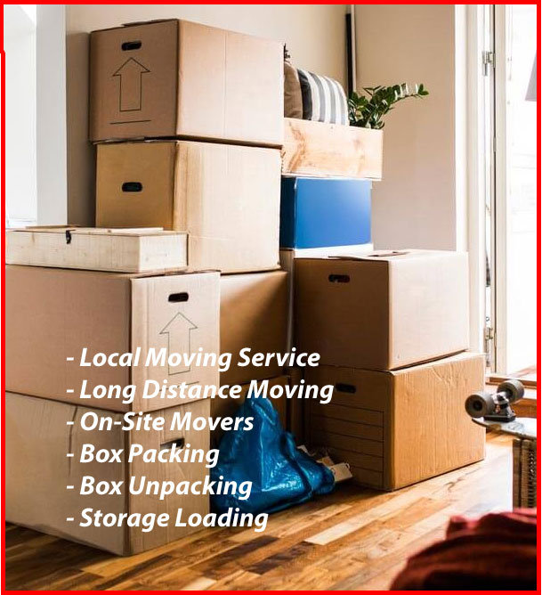 Packers And Movers Noida Sector 153